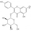 紫云英苷，百蕊草素I，槲皮素，槲皮苷