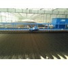 供应中荷润农阳光板温室污泥干化设备