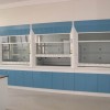 实验室家具 高端实验室通风柜，专业生产厂家，研发订制