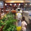 送餐机器人