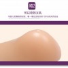 2016台湾蒂億曼进口医用硅胶义乳厂家直销供应
