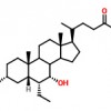 奥贝胆酸丨6-乙基鹅去氧胆酸459789-99-2