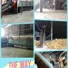 工厂棕榈开丝机专业生产 马来西亚大型棕榈生产线