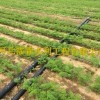 供应河南大豆农田灌溉滴水软带-壁厚0.3mm大田滴灌带