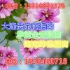 湖南纬德招商-公司代理-官方网站.—叶经理
