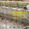 抗氧化防腐地砖焦作众云耐酸砖生产厂家，防腐蚀耐酸碱