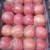膜袋红富士苹果70以上不封顶批发价格0.65元