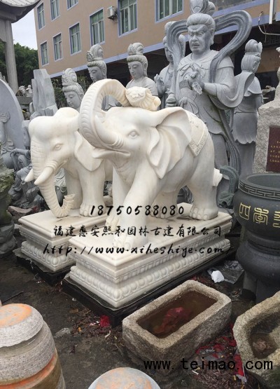 石雕大象一对,汉白玉石雕大象,石雕大象供应