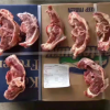 新西兰188蝴蝶排 肉多烧烤 羊蝎子店 批发销售进口羊鞍肉