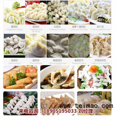 120饺子机产品1