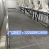 速冻饺子隧道平板式网带输送机专业生产厂家