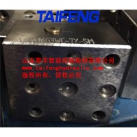 TLFA016G3WC-7X型控制盖板