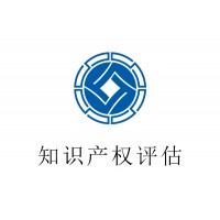 北京市无形资产评估知识产权出资评估2021