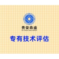 四川省成都市天府新区专有技术评估贵荣鼎盛评估