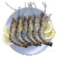 东南亚海鲜水产品虾蟹鱼进口清关的详细流程操作指南